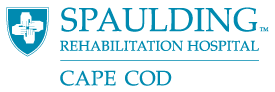 spaulding Logo
